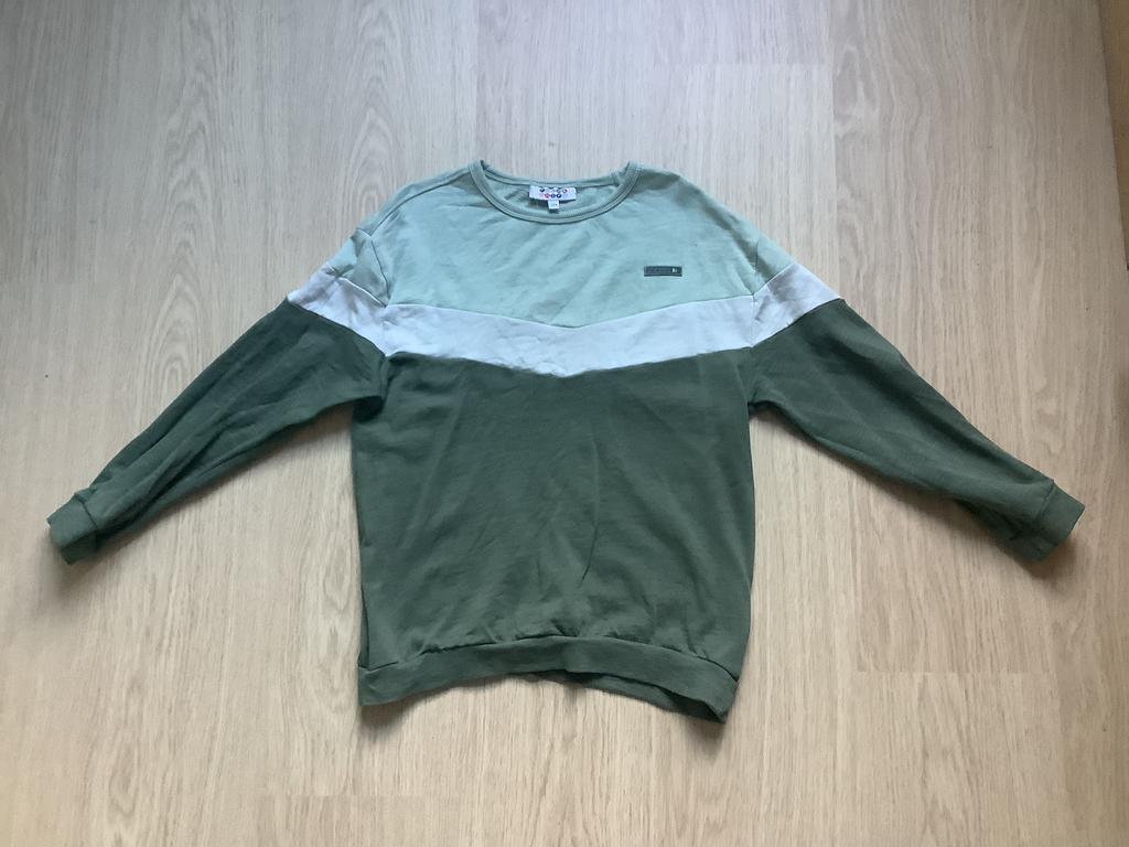 leuke groene sweater maat 134, Kinderen en Baby's, Kinderkleding | Maat 134, Ophalen of Verzenden, Zo goed als nieuw, Jongen, Trui of Vest