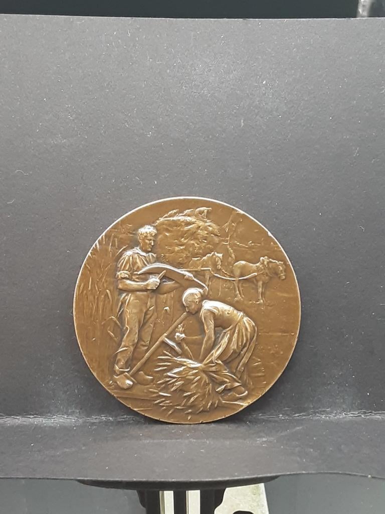 Bronzen Franse penning, Postzegels en Munten, Penningen en Medailles, Ophalen of Verzenden, Brons, Buitenland