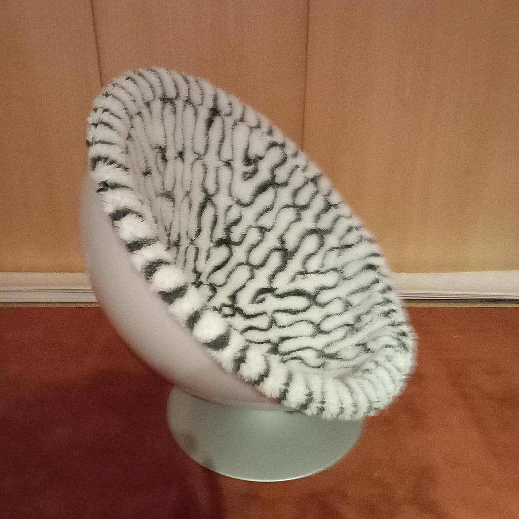 Honden mand, Dieren en Toebehoren, Ophalen