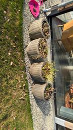 4 kunstof rieten bloembakken, Tuin en Terras, Kunststof, Minder dan 30 cm, Rond, Ophalen of Verzenden