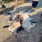 Koeienhuid, Huis en Inrichting, Stoffering | Tapijten en Kleden, Ophalen, Gebruikt, 200 cm of meer, 50 tot 100 cm