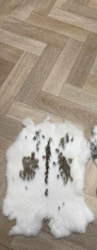 Konijnenvachtjes - Zacht en Warm, Minder dan 50 cm, Wit, Nieuw, Ophalen of Verzenden