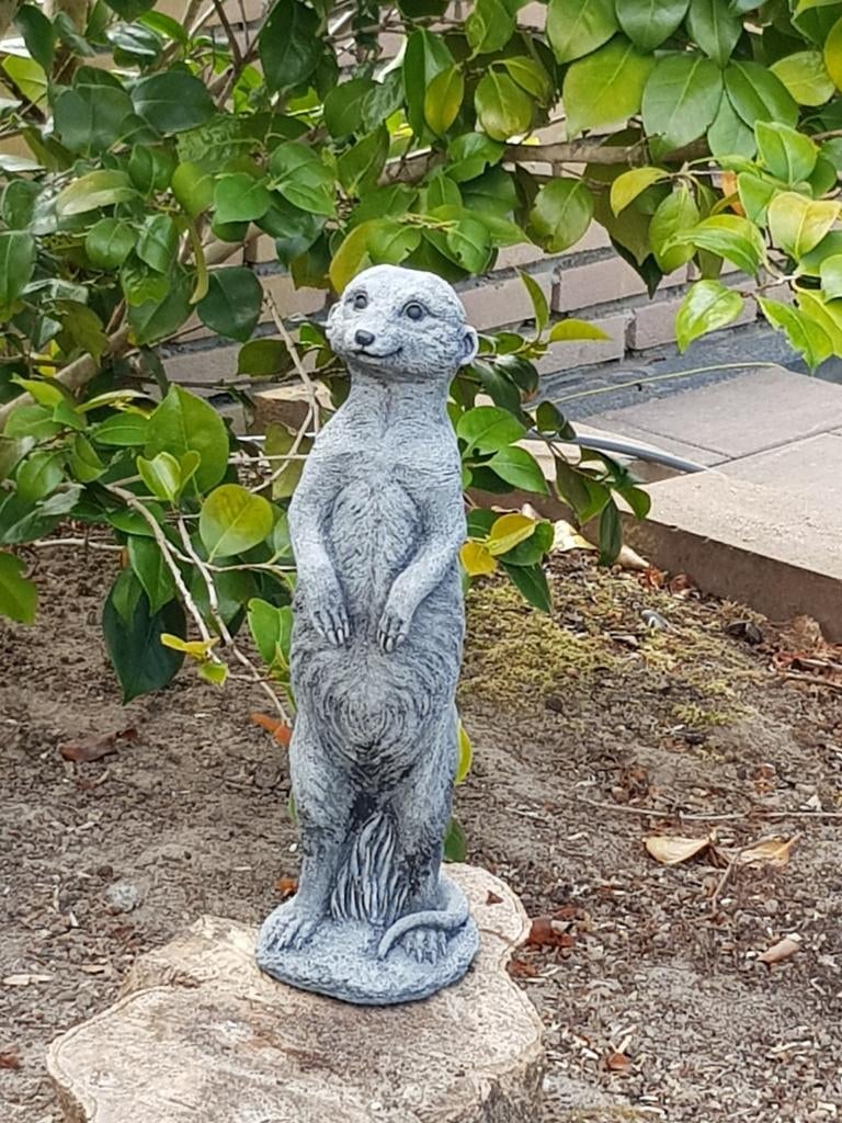 Vrolijke Stokstaartjes, in de Tuin, Ophalen of Verzenden, Nieuw, Steen, Dierenbeeld