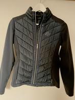 Paardrij jasje Kingsland maat xs, Ophalen of Verzenden, Zo goed als nieuw, Maat 34 (XS) of kleiner