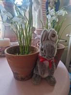 Steiff haasje, Ophalen of Verzenden