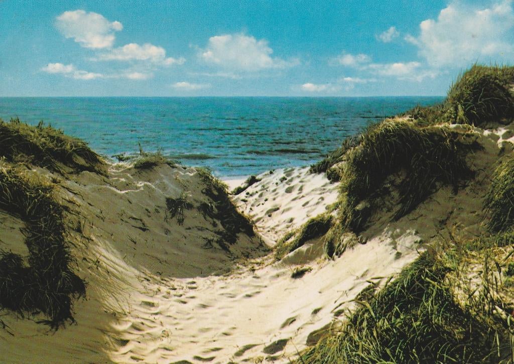 NOORDZEE Duindoorkijkje, Verzamelen, Verzenden, 1980 tot heden, Gelopen, Zuid-Holland