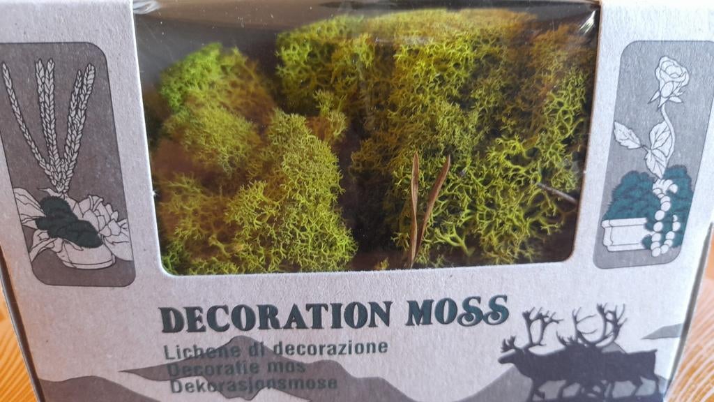 Decoratie mos, Ophalen of Verzenden