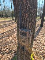 Wildcamera, Ophalen of Verzenden