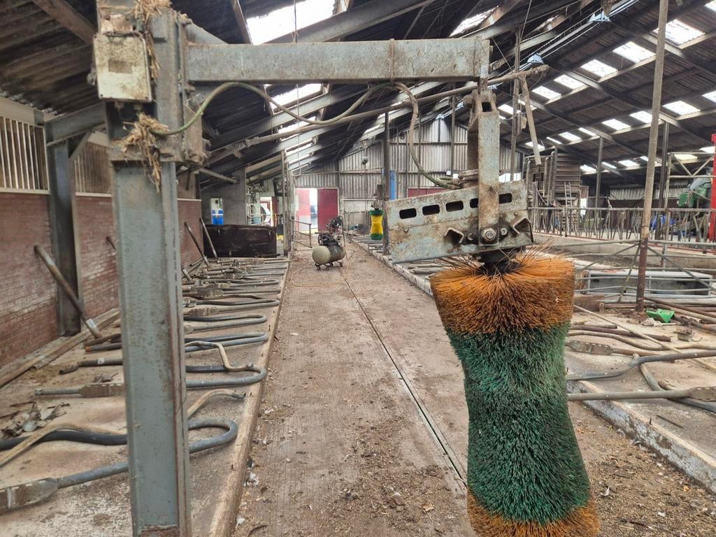 Koeborstels, Eén persoon, Overige typen