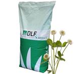 Klaver zaad witte rode zaden in gras zaaien grasland weiland, Verzenden, Vaste plant, Overige soorten, Volle zon