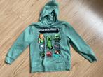 Minecraft trui mt 134, Ophalen of Verzenden, Gebruikt, Jongen, Trui of Vest
