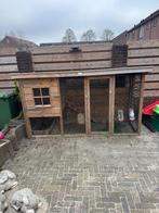 Konijnen/ kippenhok, Ophalen, 90 cm of meer, Konijn, Hok