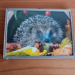 Fotolijst, brocante, uit de oude doos., Audio, Tv en Foto, Fotografie | Fotolijsten, Ophalen of Verzenden, Gebruikt