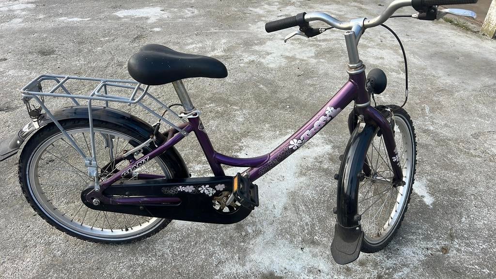 Kinderfiets Giant paarse van kleur, Fietsen en Brommers, Ophalen, Gebruikt, 16 tot 20 inch