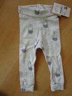 Hema - Nieuw stoer broekje van Nijntje maat 62/68, Kinderen en Baby's, Babykleding | Maat 62, Broekje, Nieuw, Ophalen of Verzenden