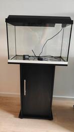 Juwel aquarium primo 60 met meubel, Dieren en Toebehoren, Vissen | Aquaria en Toebehoren, Ophalen, Gebruikt, Juwel, Inclusief deksel