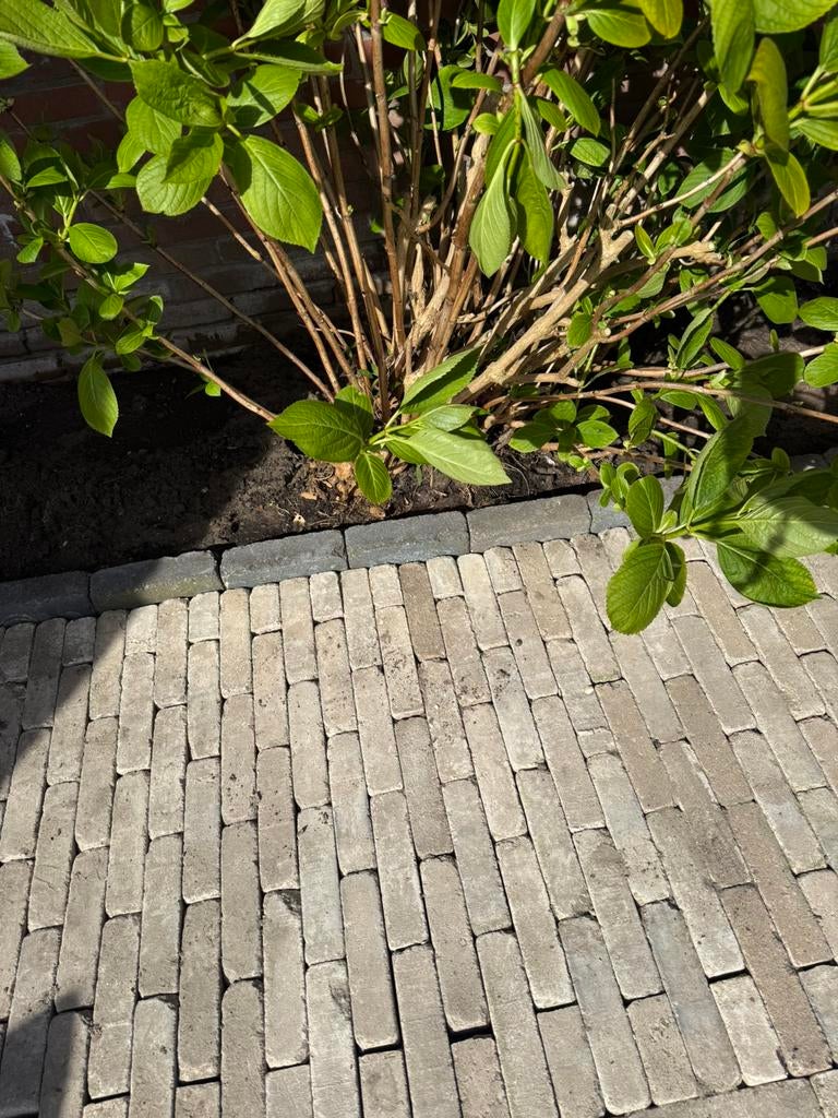 Klinkers beton zacht geel /wit 20x5x8, Ophalen, Zo goed als nieuw, Beton, Klinkers