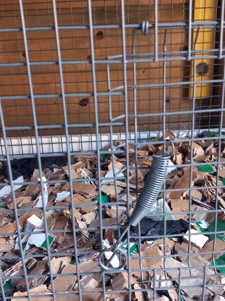 Dieren verblijf, Dieren en Toebehoren, Ophalen of Verzenden