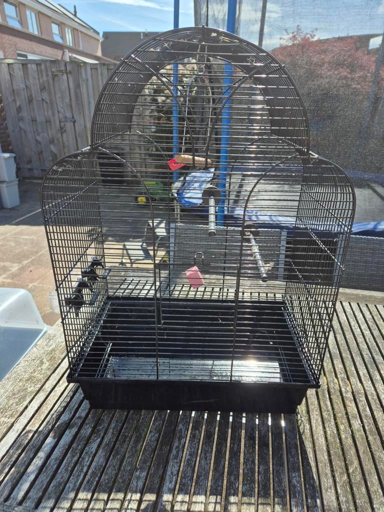 Vogelkooi / Vogelhok - Slechts enkele maanden gebruikt, Dieren en Toebehoren, Vogels | Hokken en Kooien, Ophalen, Zo goed als nieuw
