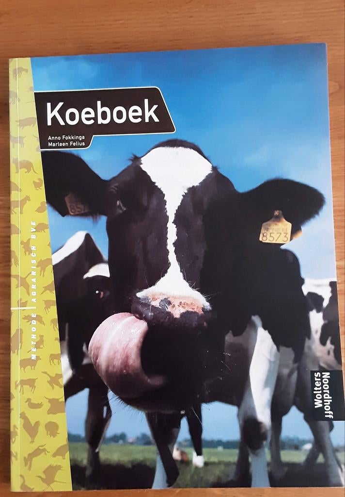 A. Fokkinga - Koeboek, A. Fokkinga; Marleen Felius, Ophalen of Verzenden, Zo goed als nieuw, Nederlands