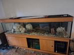 Compleet aquarium, Dieren en Toebehoren, Vissen | Aquaria en Toebehoren, Ophalen, Gebruikt, Gevuld zoetwateraquarium