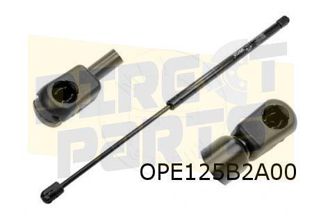 Opel Corsa B (3/93-11/00) (3-drs.) Gasveer achterklep (met w, -, Verzenden, -, Opel