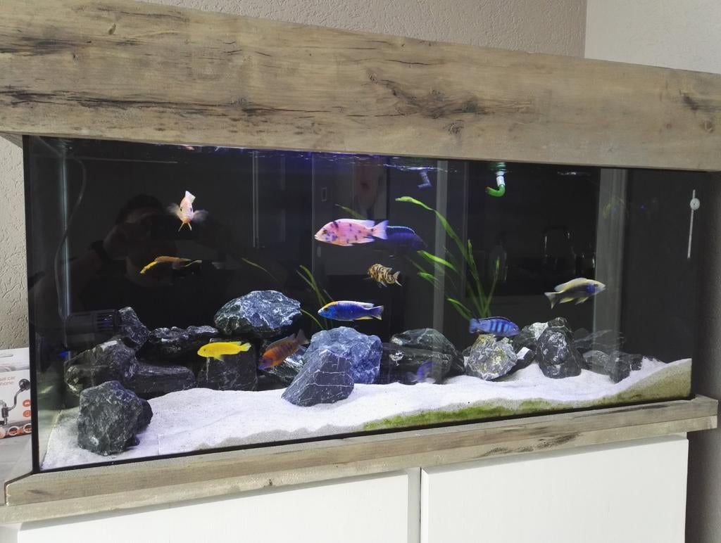 Aquarium 120 met accessoires, Dieren en Toebehoren, Ophalen, Gebruikt, Leeg aquarium