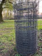 Schapengaas, Meerdere dieren, Schaap