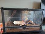 Terrarium, Dieren en Toebehoren, Reptielen en Amfibieën | Toebehoren, Ophalen