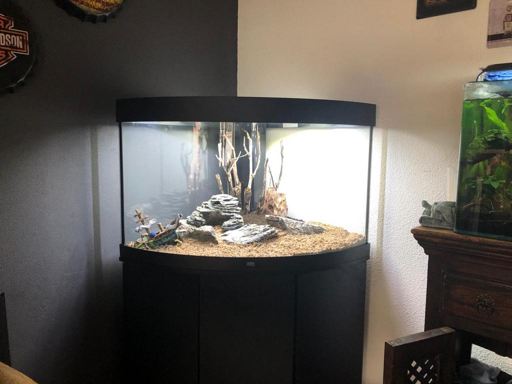 Aquarium juwel trigon 190 L, Dieren en Toebehoren, Vissen | Aquaria en Toebehoren, Ophalen, Zo goed als nieuw, Leeg aquarium, Juwel