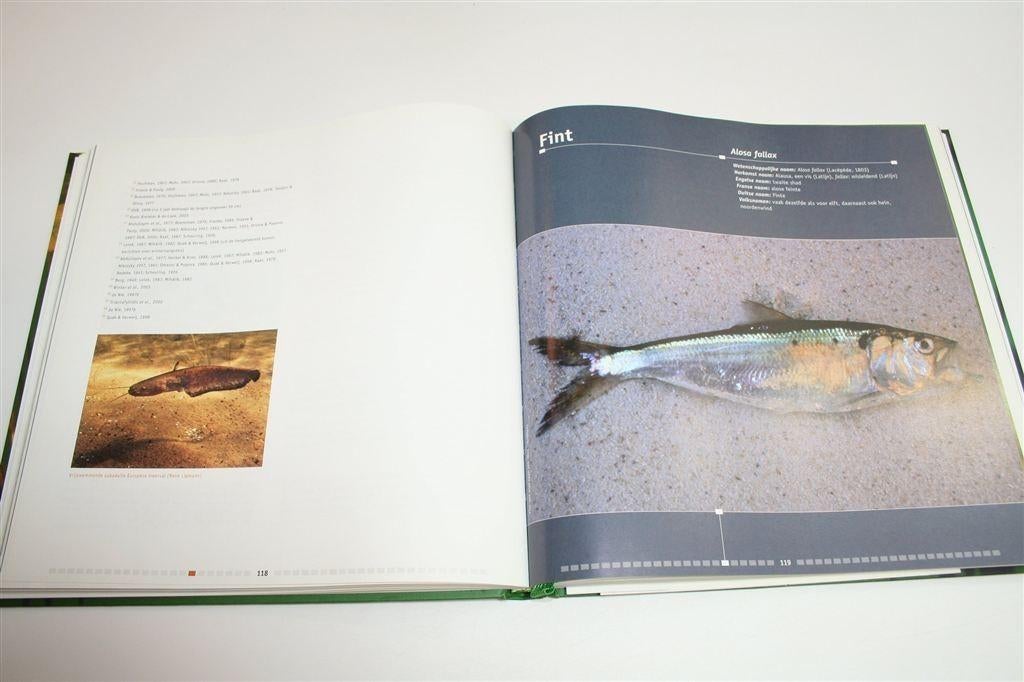 De Zoetwatervissen van Nederland — Ecologisch Bekeken, Boeken, Ophalen of Verzenden, Zo goed als nieuw, Honden