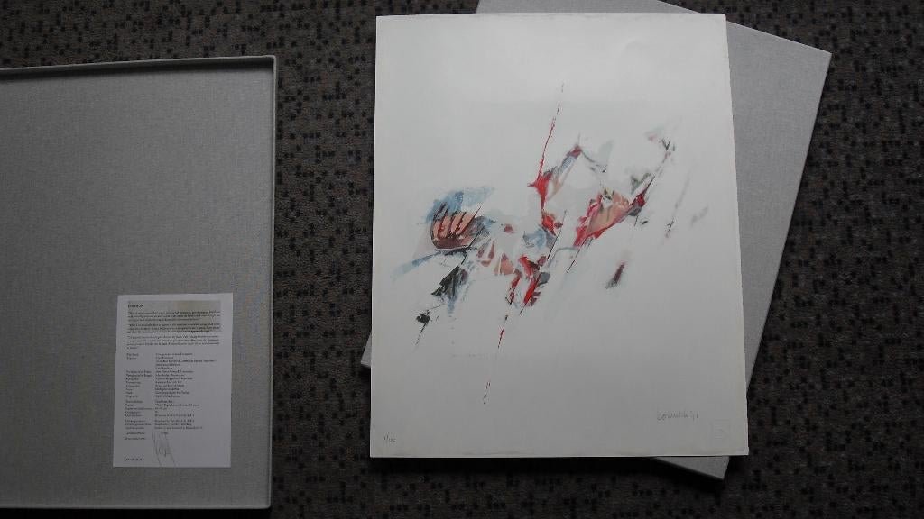 LEO MUSCH ; cassette, gesign litho en gesign b, Antiek en Kunst, Kunst | Litho's en Zeefdrukken, Ophalen of Verzenden