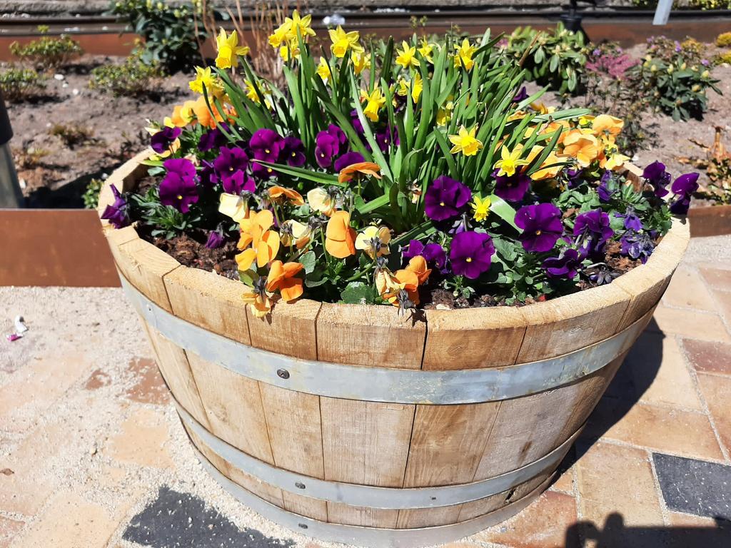 Halfe planten bakken te koop ( wijnvaten / wyskyvat), Ophalen, Rond, Zo goed als nieuw, 60 tot 100 cm