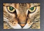 Close-up van bruine cyperse kat - Bizarr-kaart, Duitsland., Ophalen of Verzenden, 1980 tot heden, Ongelopen, Hond of Kat