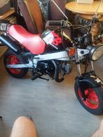 Tekoop Honda zb 50 uit 1988, Ophalen, Overige modellen, Maximaal 45 km/u, Zo goed als nieuw