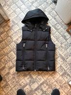 Malelions Bodywarmer Heren Maat L Zwart, Ophalen of Verzenden, Gedragen, Maat 52/54 (L), Zwart