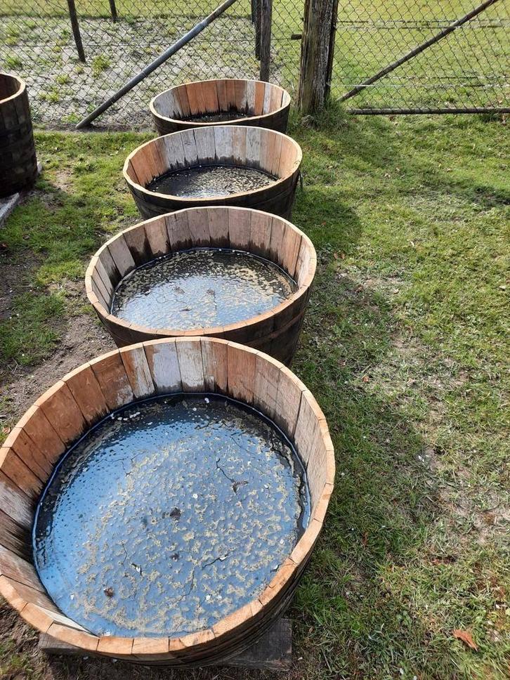GROTE houten kuipen bloembakken dompelbad olijfboom palmboom, Tuin en Terras, Bloembakken en Plantenbakken, Nieuw, Hout, Tuin