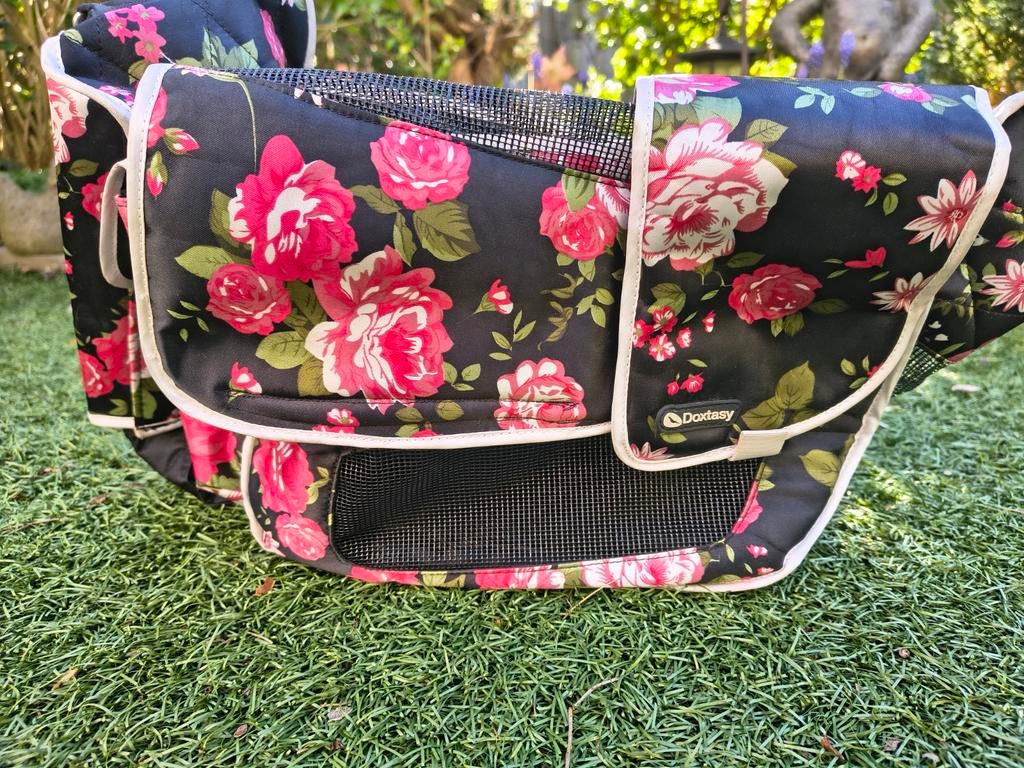 Reistas kleine hond, Dieren en Toebehoren, Ophalen of Verzenden