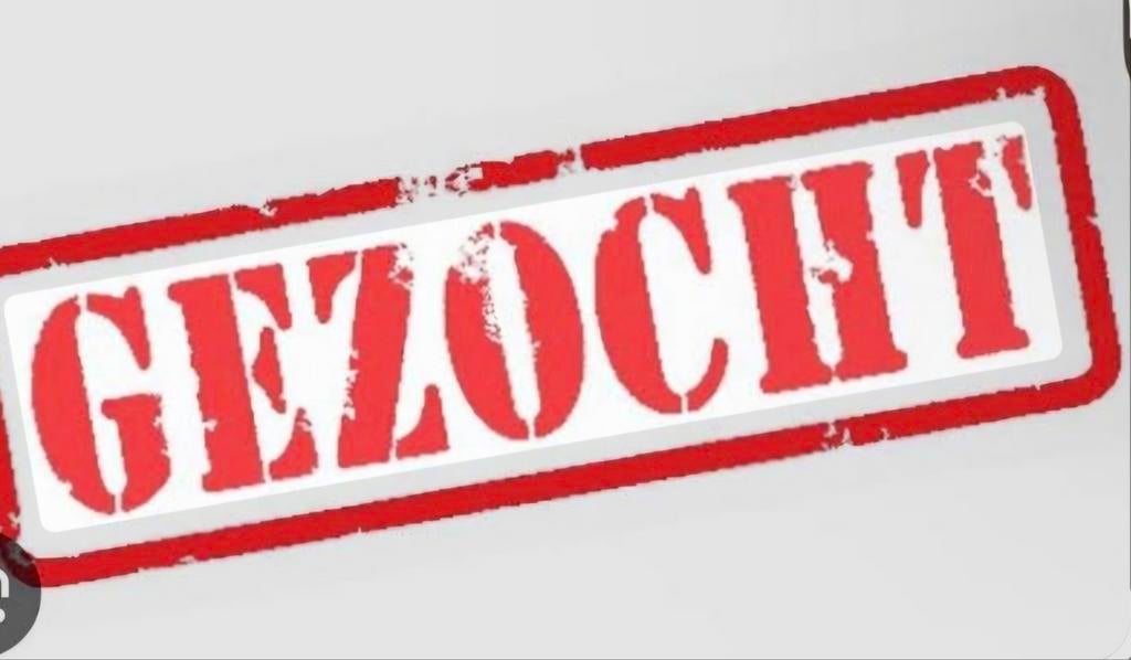 Gezocht bijrijdpaard omgeving Velserbroek, Ophalen of Verzenden