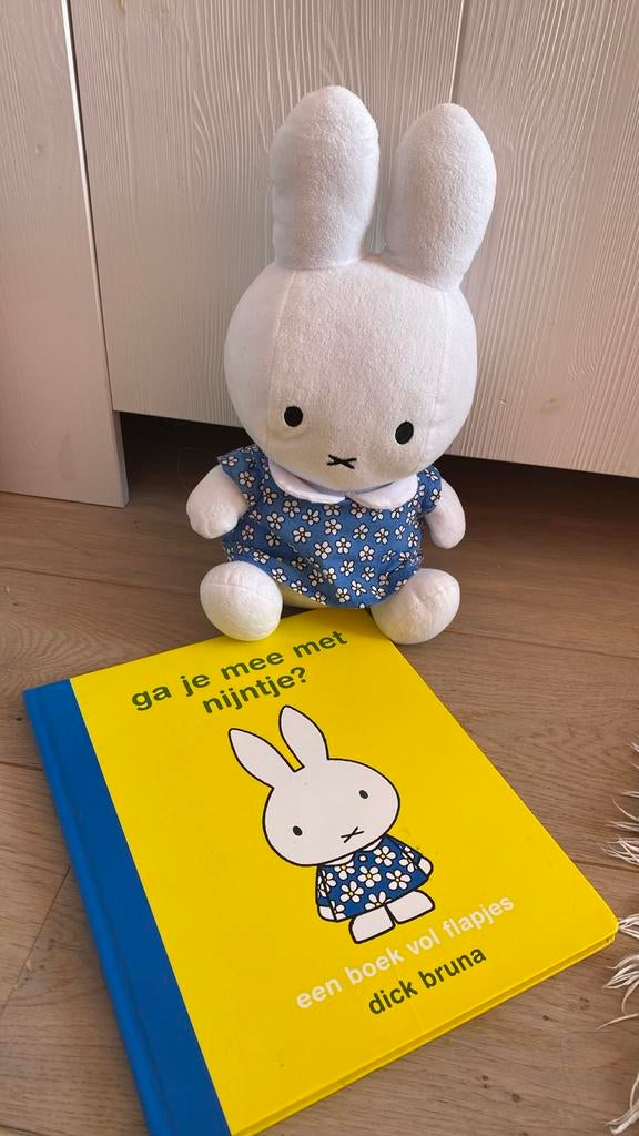 Nijntje Boek & Knuffel - Als Nieuw!, Ophalen, Zo goed als nieuw, Konijn