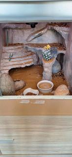 Zeer mooie terrarium, Dieren en Toebehoren, Reptielen en Amfibieën | Toebehoren, Ophalen, Zo goed als nieuw, Terrarium of Paludarium