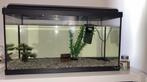 Aquarium 54 liter, Dieren en Toebehoren, Vissen | Aquaria en Toebehoren, Ophalen, Leeg aquarium