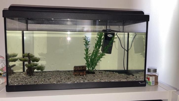 Aquarium 54 liter, Dieren en Toebehoren, Vissen | Aquaria en Toebehoren, Leeg aquarium, Ophalen