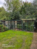 Volière 6x2x2 ook te gebruiken als kattenren, Dieren en Toebehoren, Ophalen