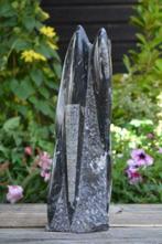 Orthoceras sculptuur (nr. 18), Verzamelen, Ophalen of Verzenden, Fossiel