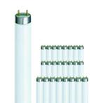 38 WATT TL  LAMPEN nieuw in doos, Soft of Flame, Overige typen, Nieuw, Overige fittingen