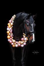 Paardenkerstkrans / Kerstkrans voor je paard - Kerstballen, Dieren en Toebehoren, Paarden en Pony's | Overige Paardenspullen, Ophalen of Verzenden