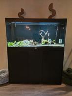 Aquatlantis splendid 120 met inhoud, Dieren en Toebehoren, Ophalen, Zo goed als nieuw, Gevuld zoetwateraquarium