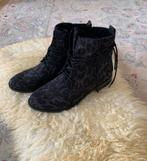 Zwarte enkellaarsjes met tijgerprint -Nieuw, Kleding | Dames, Schoenen, Blue Box, Zwart, Lage of Enkellaarzen, Nieuw