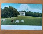 Ansichtkaart / briefkaart sanatorium te De Steeg gelopen, Ophalen, Voor 1920, Gelderland
